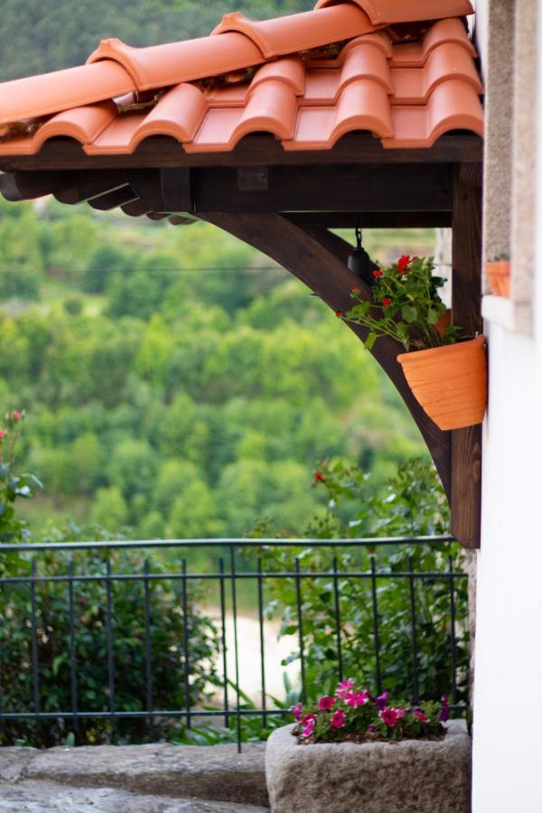 Quinta Do Tapadinho - Wine & Tourism Villa Moimenta Eksteriør billede