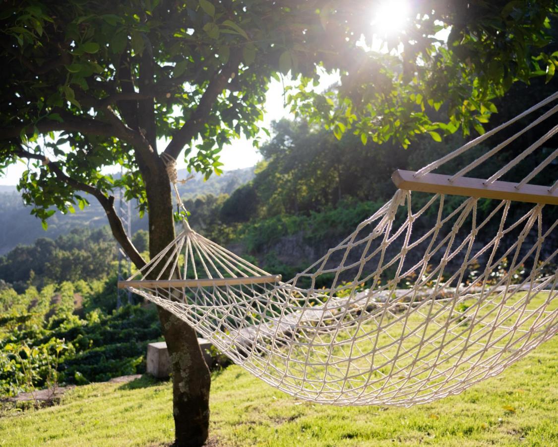 Quinta Do Tapadinho - Wine & Tourism Villa Moimenta Eksteriør billede