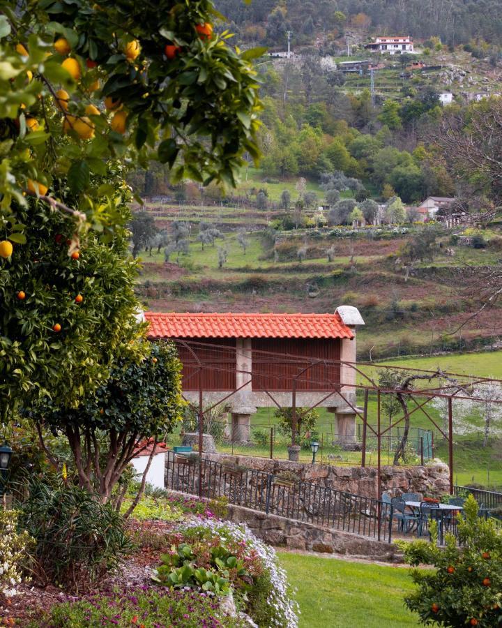 Quinta Do Tapadinho - Wine & Tourism Villa Moimenta Eksteriør billede