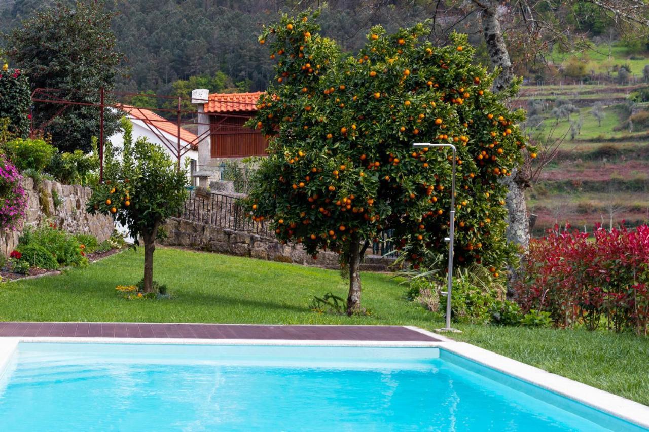 Quinta Do Tapadinho - Wine & Tourism Villa Moimenta Eksteriør billede