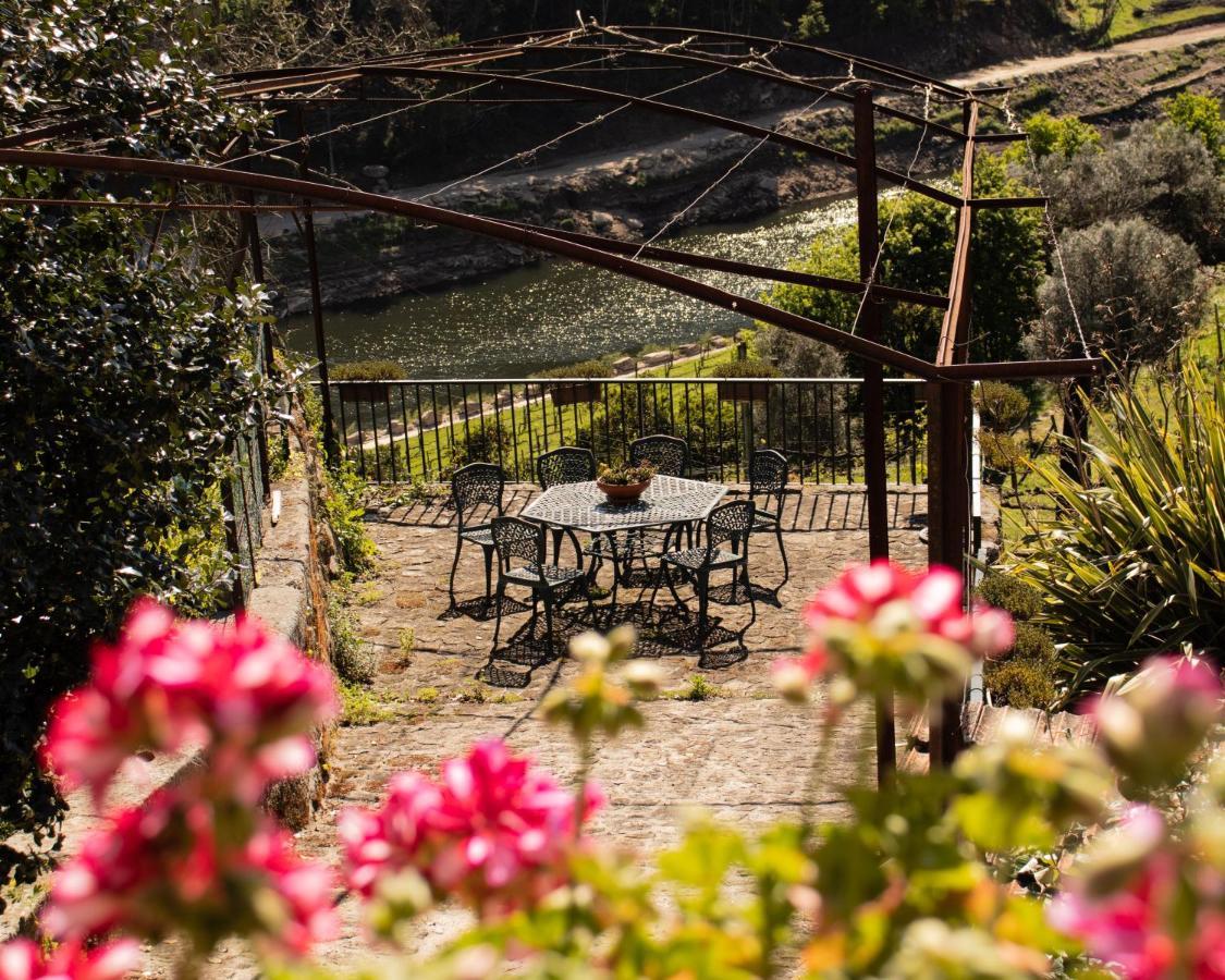 Quinta Do Tapadinho - Wine & Tourism Villa Moimenta Eksteriør billede