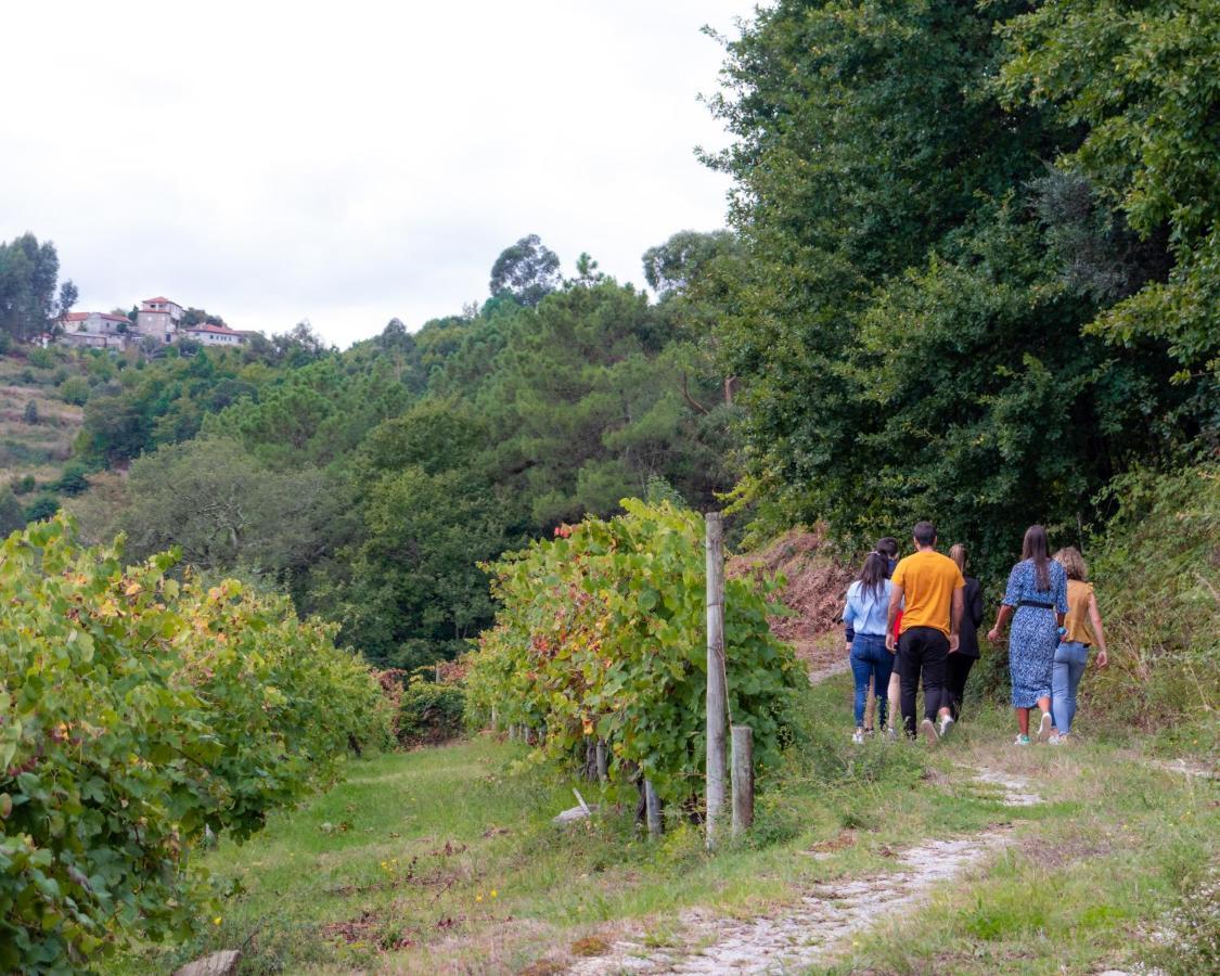 Quinta Do Tapadinho - Wine & Tourism Villa Moimenta Eksteriør billede