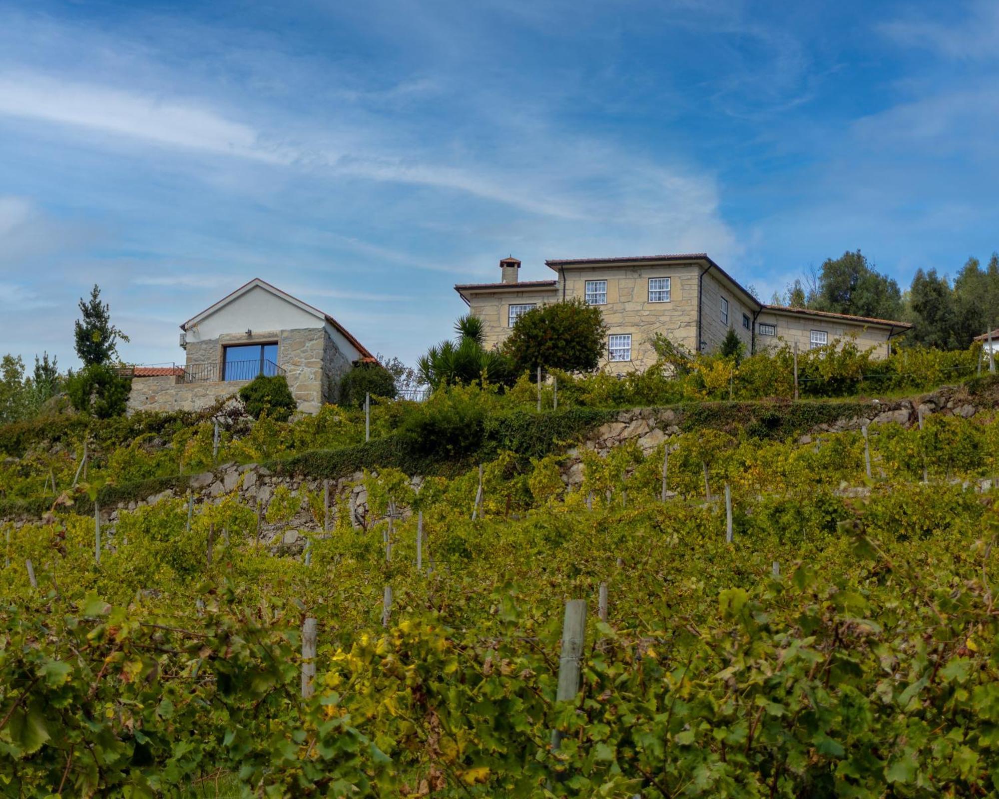 Quinta Do Tapadinho - Wine & Tourism Villa Moimenta Eksteriør billede