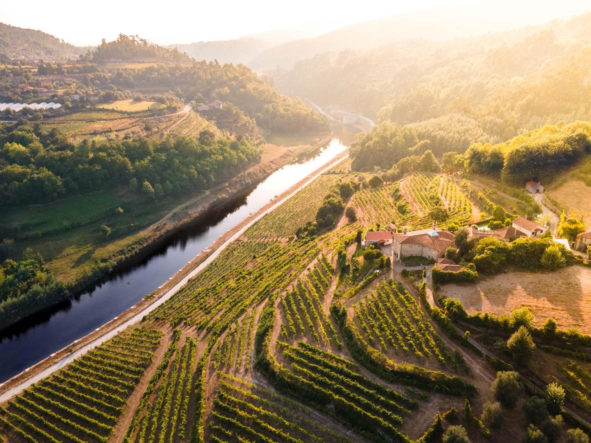 Quinta Do Tapadinho - Wine & Tourism Villa Moimenta Eksteriør billede